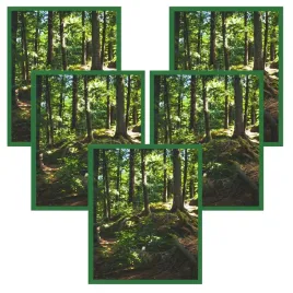 5x-rama-40x50-zielony-plexi