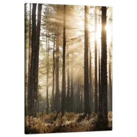 obraz-na-plotnie-slonce-w-lesie-zimne-kolory-trawa-80x120-cm