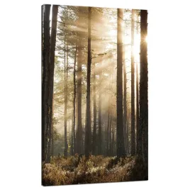 obraz-na-plotnie-slonce-w-lesie-zimne-kolory-trawa-70x120-cm