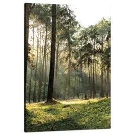 obraz-na-plotnie-las-drzewa-slonce-natura-80x120-cm