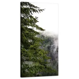 obraz-na-plotnie-natura-gory-zamglony-las-40x80-cm-po-deszczu-choinka-widok