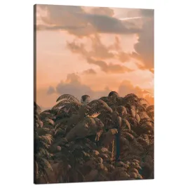 obraz-na-plotnie-drzewa-zachod-slonca-chmury-niebo-80x120-cm