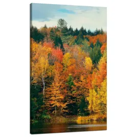 obraz-na-plotnie-kolorowe-liscie-drzewa-jesien-natura-70x120-cm