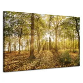 obraz-na-plotnie-slonce-miedzy-drzewami-w-lesie-120x80-cm
