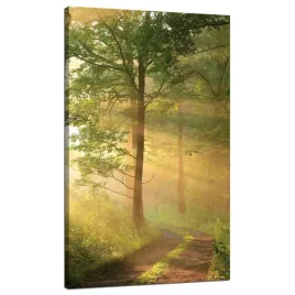 obraz-na-plotnie-swiatlo-slonca-las-sciezka-natura-70x120-cm