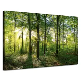 obraz-na-plotnie-slonce-las-drzewa-promienie-swiatla-120x80-cm