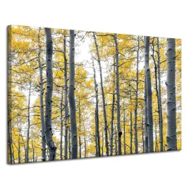 obraz-na-plotnie-brzozy-zolte-liscie-natura-wiosna-120x80-cm