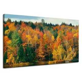 obraz-na-plotnie-kolorowe-liscie-drzewa-jesien-natura-120x70-cm