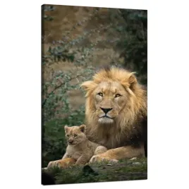 obraz-na-plotnie-lew-i-lwiatko-natura-drzewa-przyroda-70x120-cm