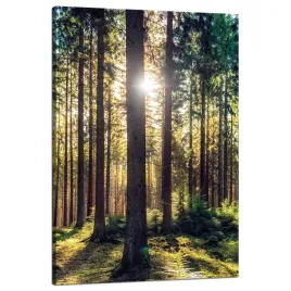 obraz-na-plotnie-las-slonce-drzewa-wiosna-poranek-80x120-cm