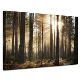 obraz-na-plotnie-slonce-w-lesie-zimne-kolory-trawa-120x80-cm