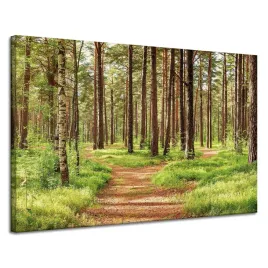 obraz-na-plotnie-sciezka-w-lesie-drzewa-przyroda-120x80-cm