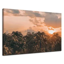 obraz-na-plotnie-drzewa-zachod-slonca-chmury-niebo-120x80-cm