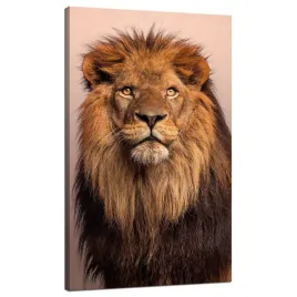 obraz-na-plotnie-twarz-lwa-pieknosc-grzywa-wlosy-70x120-cm