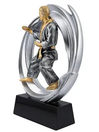drx014-statuetka-karate-seria-wow-odlew-3d-karate