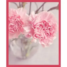 ramka-na-zdjecia-amarantowa-foto-rama-24x30-cm