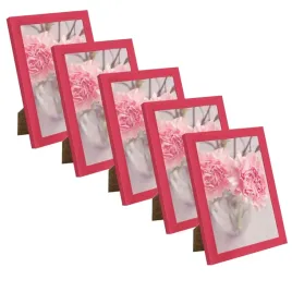 5x-fotorama-13x18-amarant-plexi