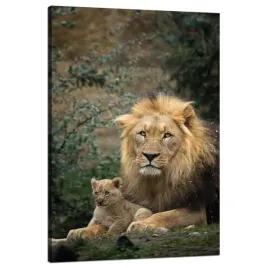 obraz-na-plotnie-lew-i-lwiatko-natura-drzewa-przyroda-80x120-cm
