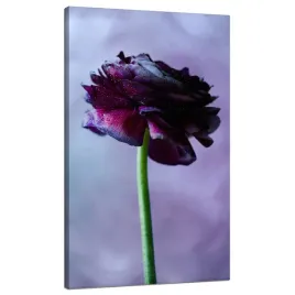 obraz-na-plotnie-botanika-fioletowy-kwiat-70x120-na-tle-zachmurzonego-nieba