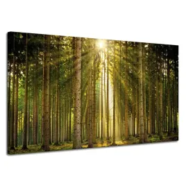 obraz-na-plotnie-las-drzewa-slonce-natura-wiosna-120x70-cm