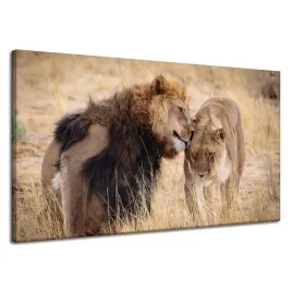 obraz-na-plotnie-para-lwow-milosc-sawanna-natura-120x70-cm