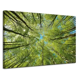 obraz-na-plotnie-liscie-drzewa-zielen-slonce-niebo-120x80-cm