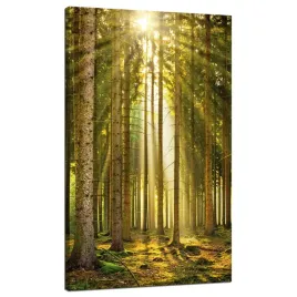 obraz-na-plotnie-las-drzewa-slonce-natura-wiosna-70x120-cm