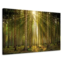 obraz-na-plotnie-las-drzewa-slonce-natura-wiosna-120x80-cm