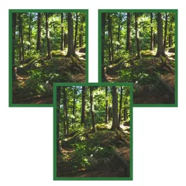 3x-rama-40x50-i-l1315025-zielony-plexi