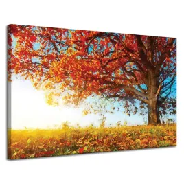 obraz-na-plotnie-piekne-drzewo-czerwone-liscie-jesien-120x80-cm