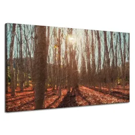 obraz-na-plotnie-las-jesienia-liscie-kolorowe-natura-120x70-cm
