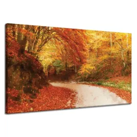 obraz-na-plotnie-sciezka-w-jesiennym-lesie-kolorowe-liscie-120x70-cm