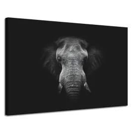 obraz-na-plotnie-twarz-szarego-slonia-traba-kly-120x80-cm