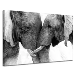 obraz-na-plotnie-zblizenie-sloni-szarosc-natura-120x80-cm