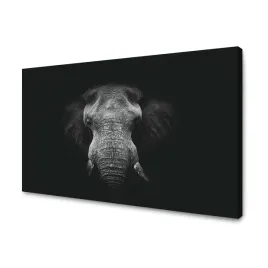 obraz-na-plotnie-twarz-szarego-slonia-traba-kly-120x70-cm