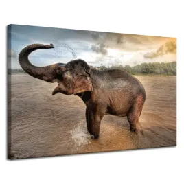 obraz-na-plotnie-slon-woda-chmury-przyroda-kapiel-120x80-cm