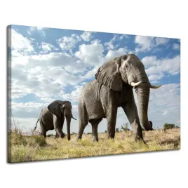 obraz-na-plotnie-duze-szare-slonie-afryka-natura-120x80-cm