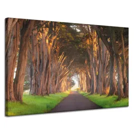 obraz-na-plotnie-droga-miedzy-drzewami-natura-120x80-cm-idealny-na-prezent