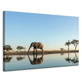 obraz-na-plotnie-slon-pijacy-wode-w-naturalnym-srodowisku-120x80-cm
