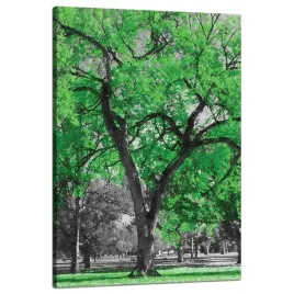 obraz-na-plotnie-czarne-drzewa-zielona-liscie-sztuka-80x120-cm
