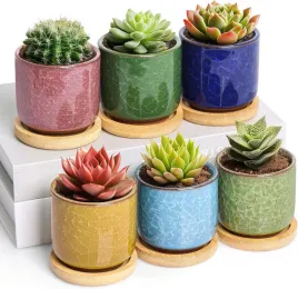 doniczka-ceramika-wielokolorowy-6-cm-x-6-x-6-cm