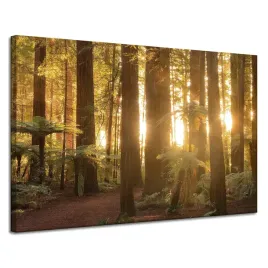 obraz-na-plotnie-promienie-slonca-las-drzewa-120x80-cm-idealny-na-prezent