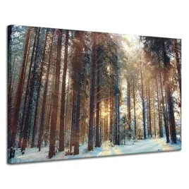 obraz-na-plotnie-las-zima-snieg-biel-przyroda-120x80-cm-idealny-na-prezent