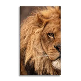 obraz-na-plotnie-twarz-grzywa-i-oko-lwa-natura-80x120-cm-idealny-na-prezent