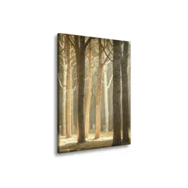 obraz-na-plotnie-drzewa-swiatlo-przyroda-las-80x120-cm-idealny-na-prezent