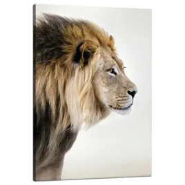 obraz-na-plotnie-zapatrzony-lew-natura-twarz-80x120-cm-idealny-na-prezent