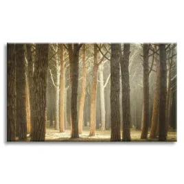 obraz-na-plotnie-drzewa-swiatlo-przyroda-las-120x80-cm-idealny-na-prezent