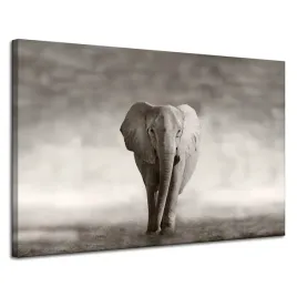 obraz-na-plotnie-czarno-bialy-slon-pozujacy-afryka-120x80-cm