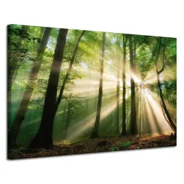 obraz-na-plotnie-slonce-w-lesie-drzewa-natura-120x80-cm-idealny-na-prezent