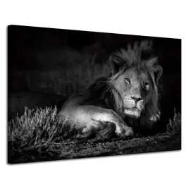 obraz-na-plotnie-ciemne-kolory-lew-spokoj-120x80-cm-idealny-na-prezent